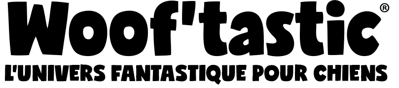 web angels aide les startup à démarrer sur le web